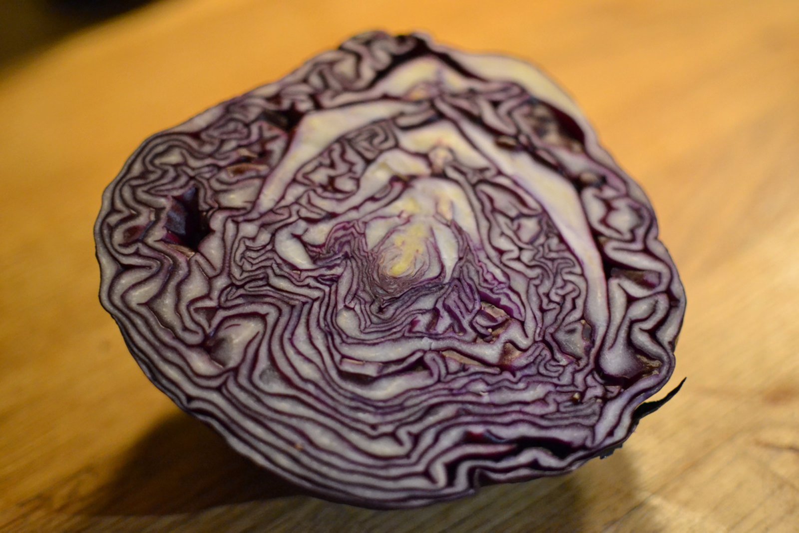 redcabbage